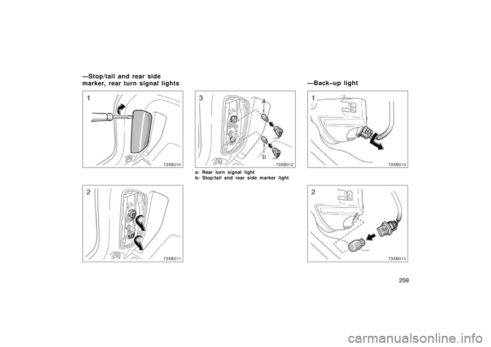 TOYOTA xB 2009  Owners Manual (in English) 259
a: Rear turn signal light
b: Stop/tail and rear side marker light
—Stop/tail and rear side
marker, rear turn signal lights—Back�up light 