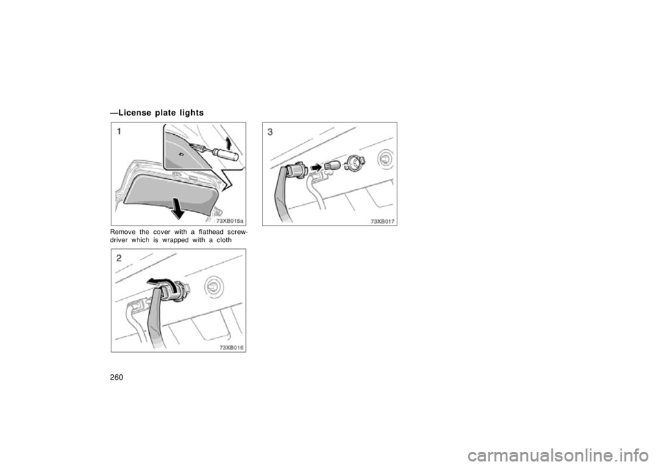 TOYOTA xB 2010  Owners Manual (in English) 260
—License plate lights
Remove the cover with a flathead screw-
driver which is wrapped with a cloth 