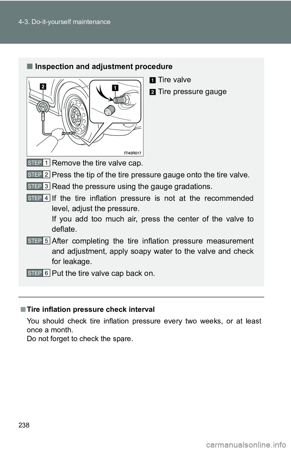TOYOTA xB 2011  Owners Manual (in English) 238 4-3. Do-it-yourself maintenance
■Tire inflation pressure check interval
You should check tire inflation pressure every two weeks, or at least
once a month.
Do not forget to check the spare.
■I TOYOTA xB 2011  Owners Manual (in English) 238 4-3. Do-it-yourself maintenance
■Tire inflation pressure check interval
You should check tire inflation pressure every two weeks, or at least
once a month.
Do not forget to check the spare.
■I