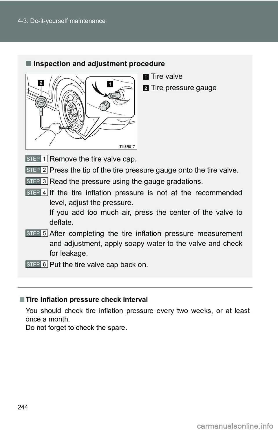 TOYOTA xB 2011  Owners Manual (in English) 244 4-3. Do-it-yourself maintenance
■Tire inflation pressure check interval
You should check tire inflation pressure every two weeks, or at least
once a month.
Do not forget to check the spare.
■I