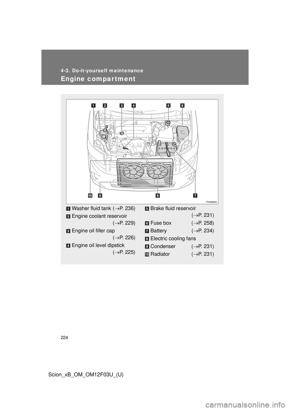 TOYOTA xB 2015 Owners Manual (in English) 224
4-3. Do-it-yourself maintenance
Scion_xB_OM_OM12F03U_(U)
Engine compar tment
Washer fluid tank (P. 236)
Engine coolant reservoir ( P. 229)
Engine oil filler cap ( P. 226)
Engine oil level TOYOTA xB 2015 Owners Manual (in English) 224
4-3. Do-it-yourself maintenance
Scion_xB_OM_OM12F03U_(U)
Engine compar tment
Washer fluid tank (P. 236)
Engine coolant reservoir ( P. 229)
Engine oil filler cap ( P. 226)
Engine oil level