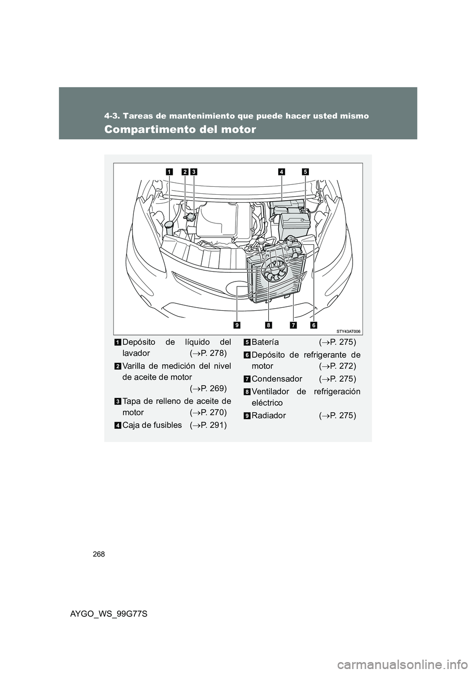 TOYOTA AYGO 2013 Manuale de Empleo (in Spanish) 268
4-3. Tareas de mantenimiento que puede hacer usted mismo
AYGO_WS_99G77S
Compartimento del motor
Depósito de líquido del
lavador ( →P. 278)
Varilla de medición del nivel
de aceite de motor
TOYOTA AYGO 2013 Manuale de Empleo (in Spanish) 268
4-3. Tareas de mantenimiento que puede hacer usted mismo
AYGO_WS_99G77S
Compartimento del motor
Depósito de líquido del
lavador ( →P. 278)
Varilla de medición del nivel
de aceite de motor