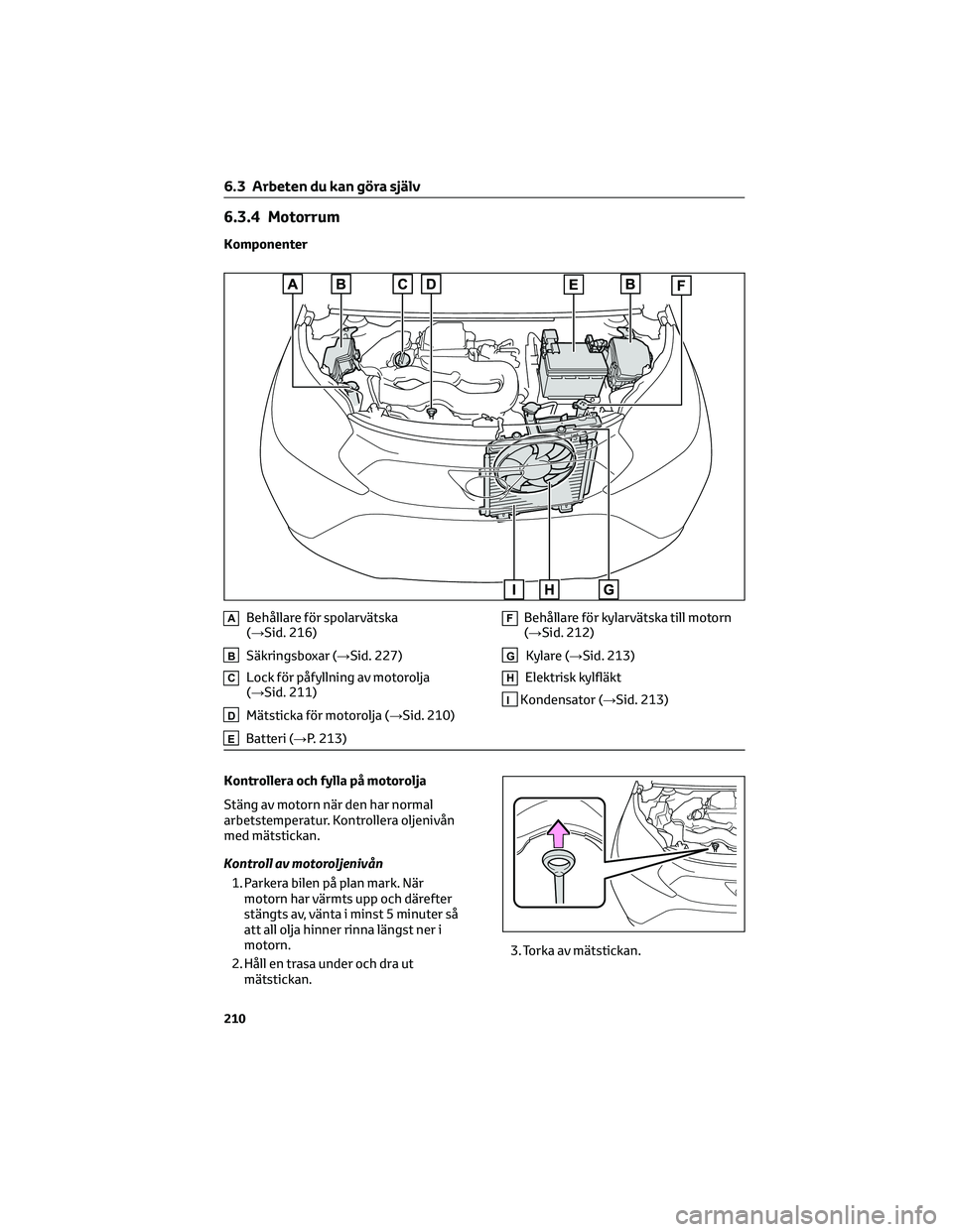 TOYOTA AYGO X 2022 Bruksanvisningar (in Swedish) 6.3.4 Motorrum
Komponenter
ABehållare för spolarvätska
(→Sid. 216)
BSäkringsboxar (→Sid. 227)
CLock för påfyllning av motorolja
(→Sid. 211)
DMätsticka för motorolja (→Sid. 210)
EBatter TOYOTA AYGO X 2022 Bruksanvisningar (in Swedish) 6.3.4 Motorrum
Komponenter
ABehållare för spolarvätska
(→Sid. 216)
BSäkringsboxar (→Sid. 227)
CLock för påfyllning av motorolja
(→Sid. 211)
DMätsticka för motorolja (→Sid. 210)
EBatter