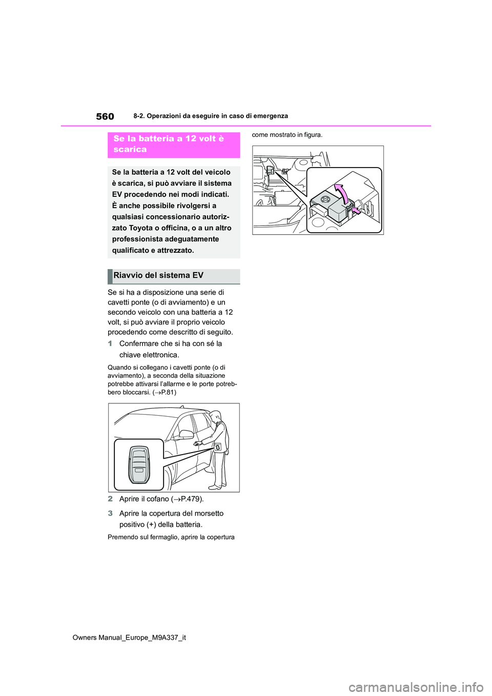 TOYOTA BZ4X 2022  Manuale duso (in Italian) 560
Owners Manual_Europe_M9A337_it
8-2. Operazioni da eseguire in caso di emergenza
Se si ha a disposizione una serie di  
cavetti ponte (o di avviamento) e un 
secondo veicolo con una batteria a 12 
