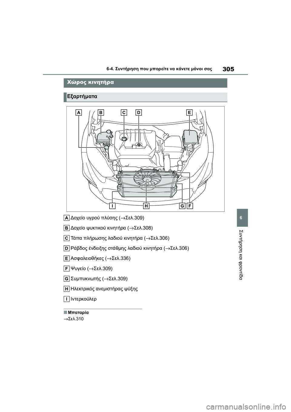 TOYOTA GR YARIS 2020  ΟΔΗΓΌΣ ΧΡΉΣΗΣ (in Greek) 305
6
YARIS(GR) Owners Manual_Europe_M52L09_en
6-4. Συντήρηση που μπορείτε να κάνετε μόνοι σας
Συντήρηση και φροντίδα
Δοχείο υγρού 