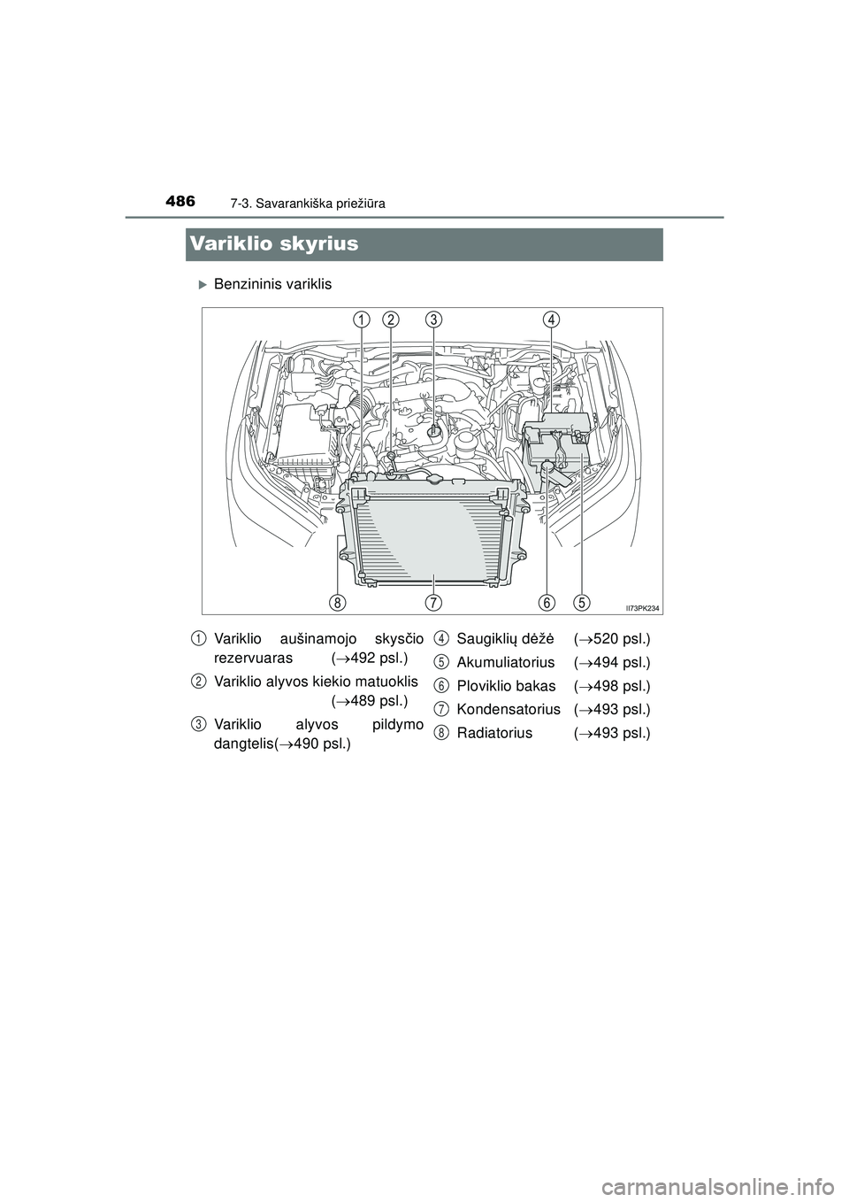 TOYOTA HILUX 2021  Eksploatavimo vadovas (in Lithuanian) 4867-3. Savarankiška priežiūra
HILUX_OM_OM0K513E_(LT)
Variklio skyrius
�XBenzininis variklis
Variklio aušinamojo skys čio
rezervuaras ( 492 psl.)
Variklio alyvos kiekio matuoklis   ( 489 ps