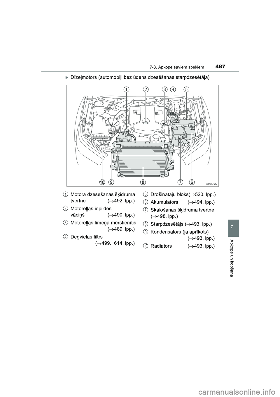 TOYOTA HILUX 2021  Lietošanas Instrukcija (in Latvian) 4877-3. Apkope saviem spēkiem
HILUX_OM_OM0K513E_(LV)
7
Apkope un kopšana
�XDīze ļmotors (automobi ļi bez ū dens dzes ēšanas starpdzes ētā ja)
Motora dzes ēšanas š ķidruma 
tvertne ( 4