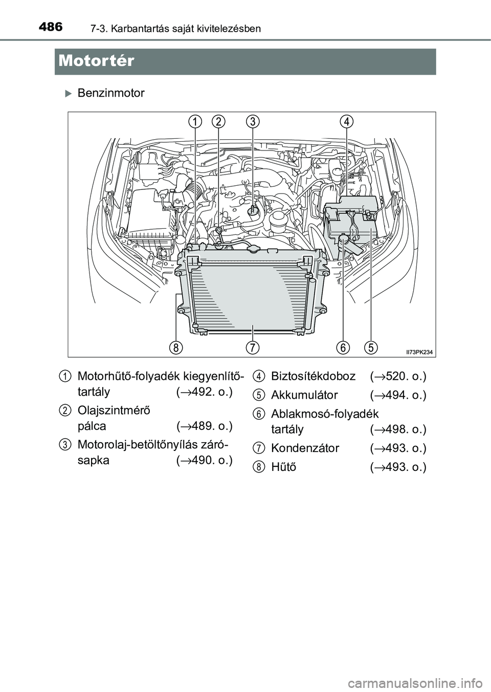 TOYOTA HILUX 2021  Kezelési útmutató (in Hungarian) 4867-3. Karbantartás saját kivitelezésben
Motor tér
Benzinmotor
Motorhűtő-folyadék kiegyenlítő-
tartály  (→492. o.)
Olajszintmérő 
pálca   ( →489. o.)
Motorolaj-betöltőnyílás z