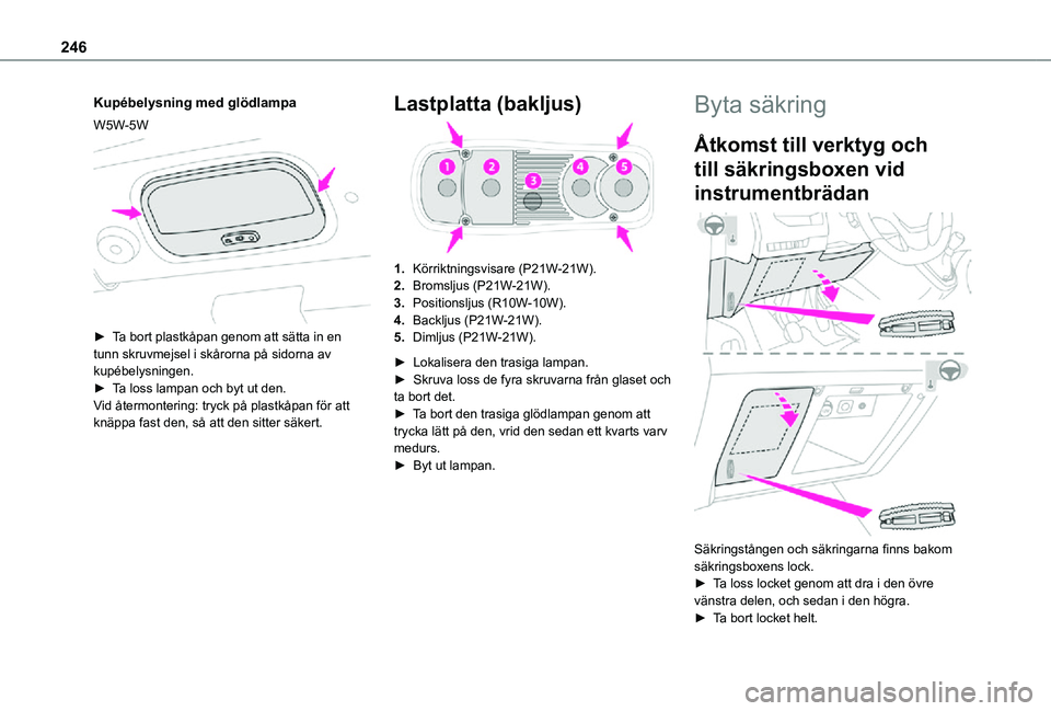 TOYOTA PROACE EV 2021 Bruksanvisningar (in Swedish) 246
Kupébelysning med glödlampa
W5W-5W
► Ta bort plastkåpan genom att sätta in en tunn skruvmejsel i skårorna på sidorna av kupébelysningen.► Ta loss lampan och byt ut den.Vid återmonte TOYOTA PROACE EV 2021 Bruksanvisningar (in Swedish) 246
Kupébelysning med glödlampa
W5W-5W
► Ta bort plastkåpan genom att sätta in en tunn skruvmejsel i skårorna på sidorna av kupébelysningen.► Ta loss lampan och byt ut den.Vid återmonte