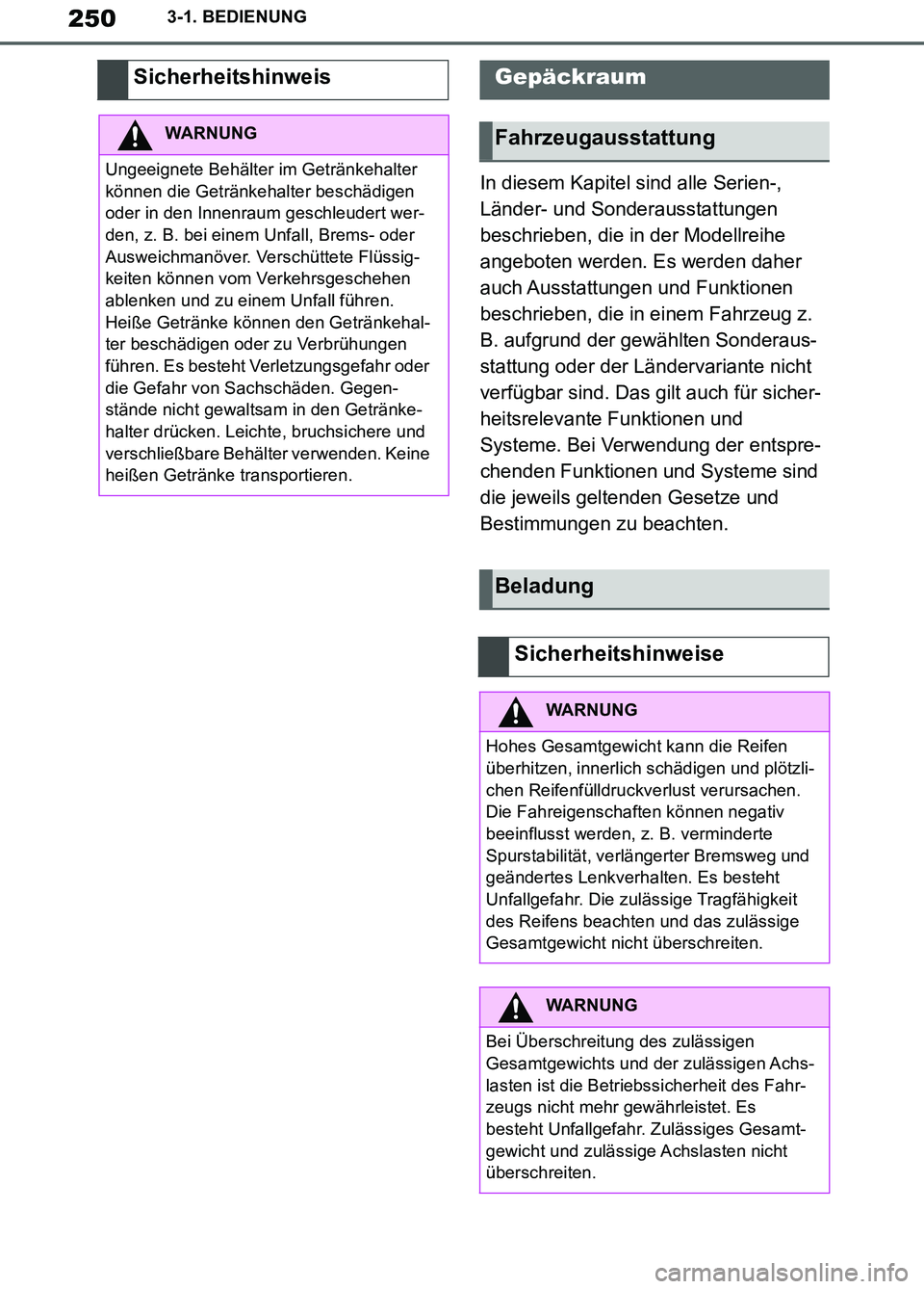 TOYOTA SUPRA 2019  Betriebsanleitungen (in German) 250
Supra Owner’s Manual_EM
3-1. BEDIENUNG
In diesem Kapitel sind alle Serien-, 
Länder- und Sonderausstattungen 
beschrieben, die in der Modellreihe 
angeboten werden. Es werden daher 
auch Aussta
