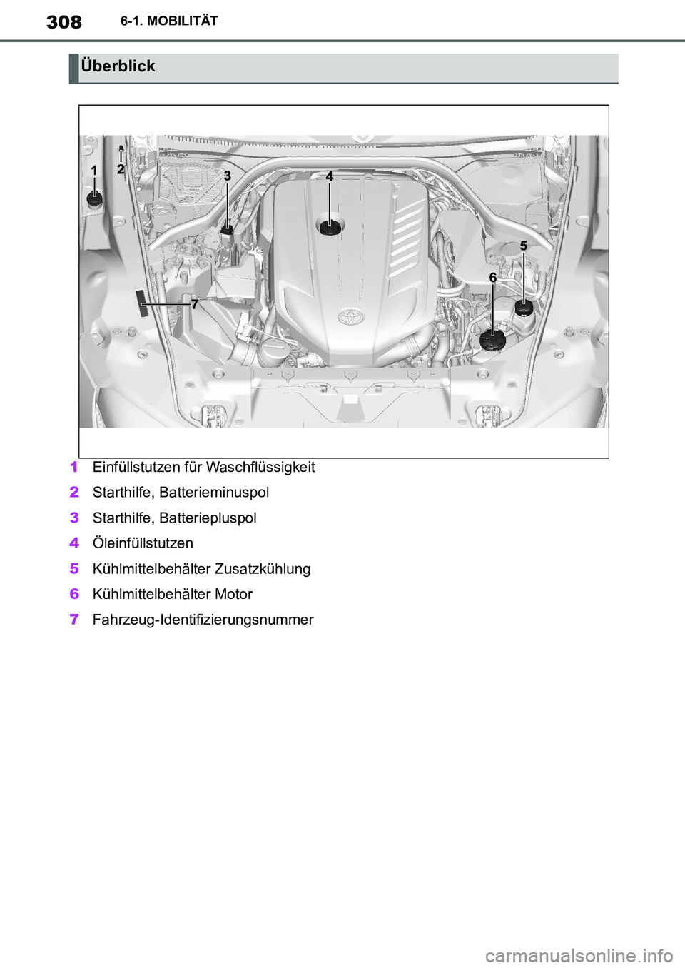 TOYOTA SUPRA 2020 Betriebsanleitungen (in German) 308
Supra Owners Manual_EM
6-1. MOBILITÄT
1Einfüllstutzen für Waschflüssigkeit
2Starthilfe, Batterieminuspol
3Starthilfe, Batteriepluspol
4Öleinfüllstutzen
5Kühlmittelbehälter Zusatzkühlung
TOYOTA SUPRA 2020 Betriebsanleitungen (in German) 308
Supra Owners Manual_EM
6-1. MOBILITÄT
1Einfüllstutzen für Waschflüssigkeit
2Starthilfe, Batterieminuspol
3Starthilfe, Batteriepluspol
4Öleinfüllstutzen
5Kühlmittelbehälter Zusatzkühlung