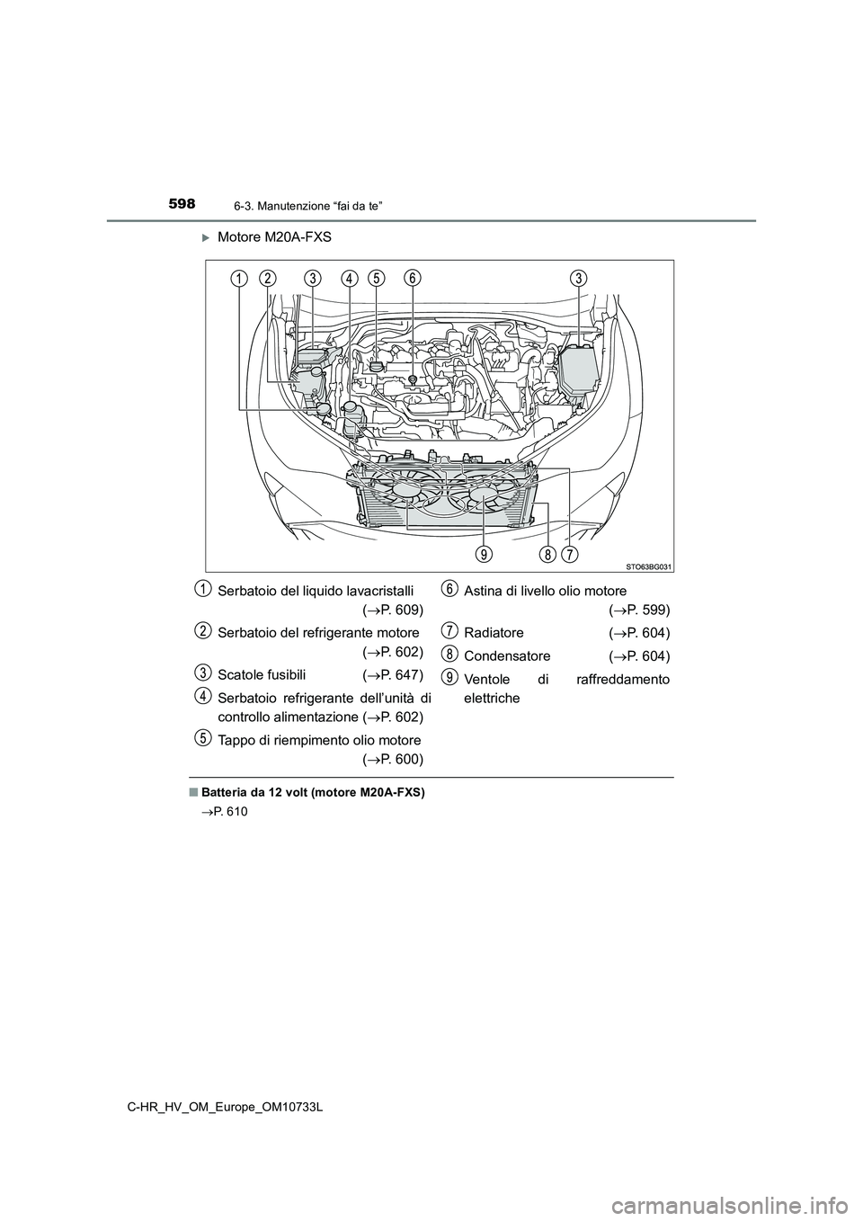 TOYOTA C-HR 2022  Manuale duso (in Italian) 5986-3. Manutenzione “fai da te”
C-HR_HV_OM_Europe_OM10733L
Motore M20A-FXS
■Batteria da 12 volt (motore M20A-FXS) 
 P.   6 1 0
Serbatoio del liquido lavacristalli   
( P. 609) 
Serbato