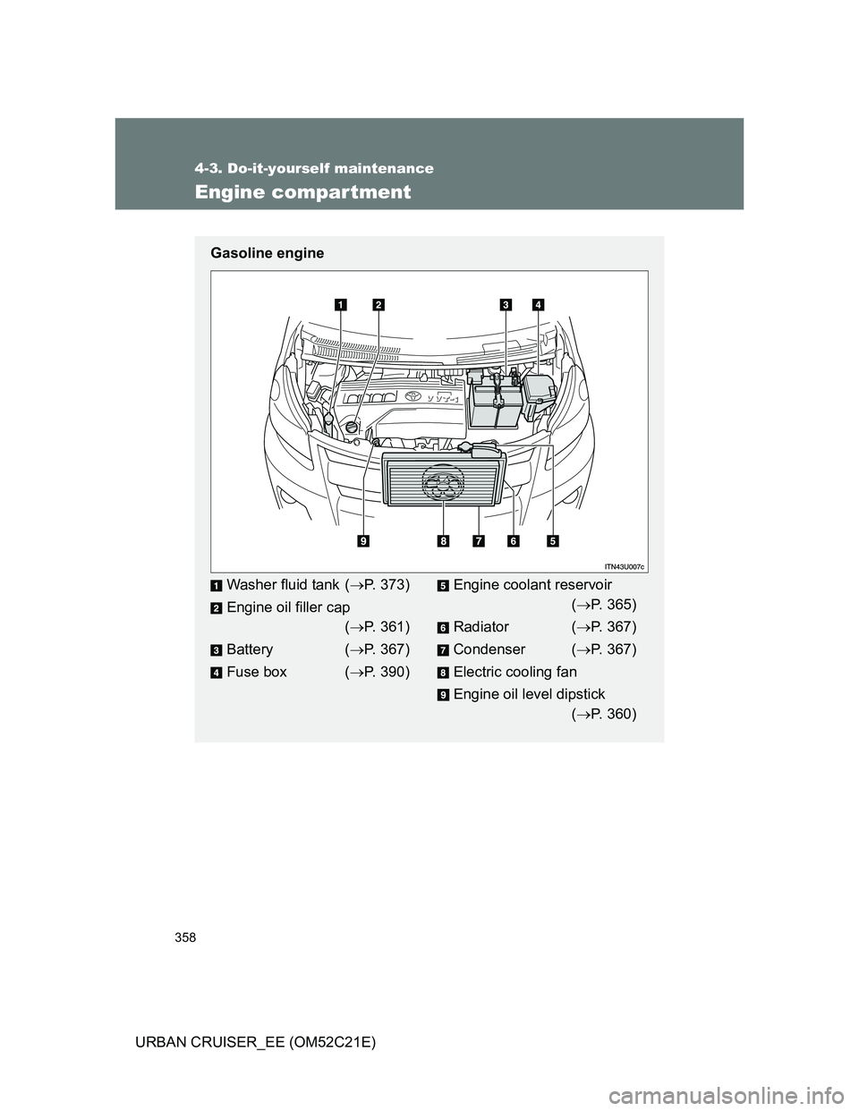 TOYOTA URBAN CRUISER 2012  Owners Manual 358
4-3. Do-it-yourself maintenance
URBAN CRUISER_EE (OM52C21E)
Engine compartment
Gasoline engine
Washer fluid tank (P. 373)
Engine oil filler cap
(P. 361)
Battery (P. 367)
Fuse box (P. 3