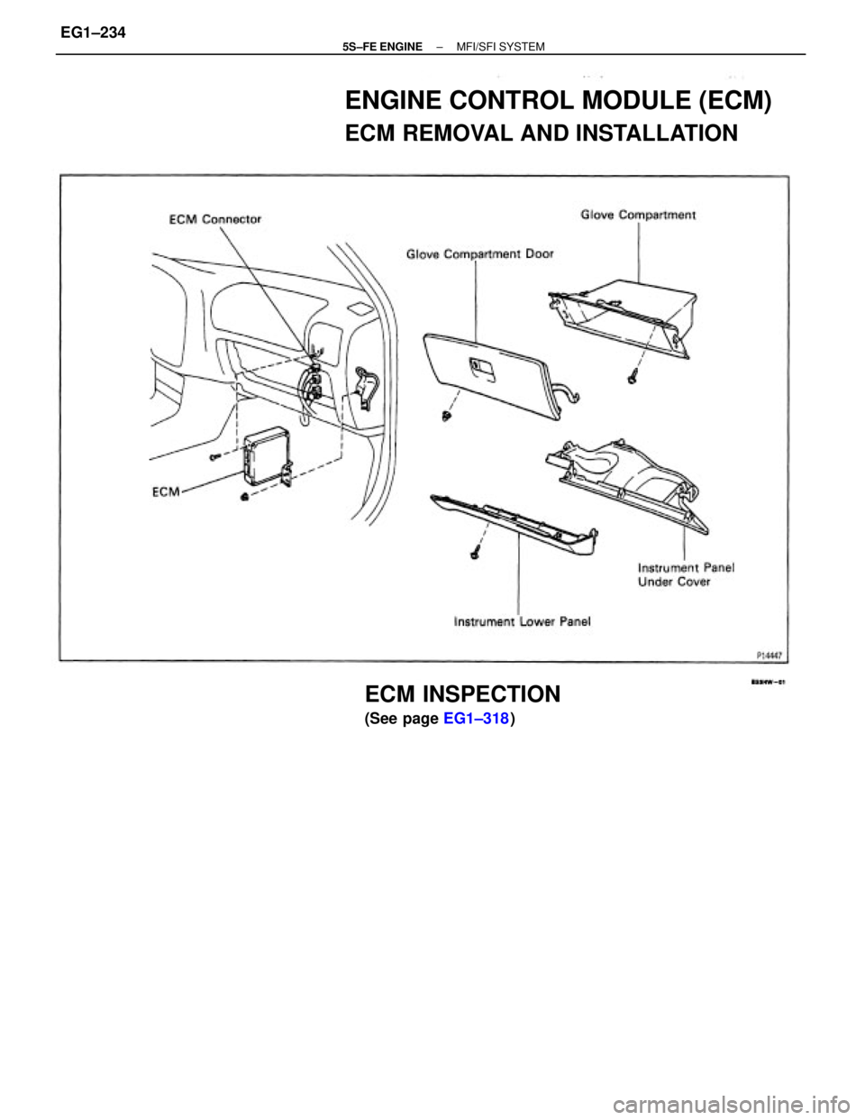 TOYOTA CAMRY 2000  Service Repair Manual ENGINE CONTROL MODULE (ECM)
ECM REMOVAL AND INSTALLATION
ECM INSPECTION
(See page EG1±318)
± 5S±FE ENGINEMFI/SFI SYSTEMEG1±234 