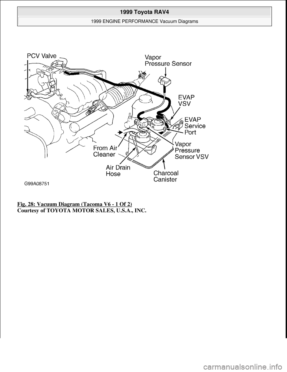 TOYOTA RAV4 1996  Service Repair Manual Fig. 28: Vacuum Diagram (Tacoma V6 - 1 Of 2) 
Courtesy of TOYOTA MOTOR SALES, U.S.A., INC.
 
1999 Toyota RAV4 
1999 ENGINE PERFORMANCE Vacuum Diagrams  
Microsoft  
Sunday, November 22, 2009 10:28:32 