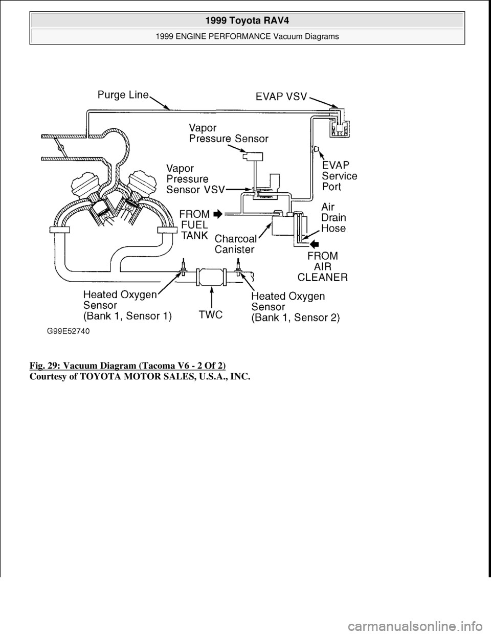 TOYOTA RAV4 1996  Service Repair Manual Fig. 29: Vacuum Diagram (Tacoma V6 - 2 Of 2) 
Courtesy of TOYOTA MOTOR SALES, U.S.A., INC.
 
1999 Toyota RAV4 
1999 ENGINE PERFORMANCE Vacuum Diagrams  
Microsoft  
Sunday, November 22, 2009 10:28:32 