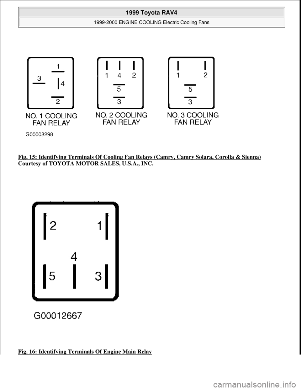 TOYOTA RAV4 1996  Service Repair Manual Fig. 15: Identifying Terminals Of Cooling Fan Relays (Camry, Camry Solara, Corolla & Sienna) 
Courtesy of TOYOTA MOTOR SALES, U.S.A., INC. 
Fig. 16: Identifying Terminals Of Engine Main Relay
 
1999 T