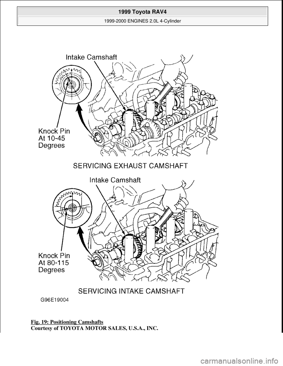 TOYOTA RAV4 1996  Service Repair Manual Fig. 19: Positioning Camshafts 
Courtesy of TOYOTA MOTOR SALES, U.S.A., INC.
 
1999 Toyota RAV4 
1999-2000 ENGINES 2.0L 4-Cylinder  
Microsoft  
Sunday, November 22, 2009 10:22:26 AMPage 29 © 2005 Mi