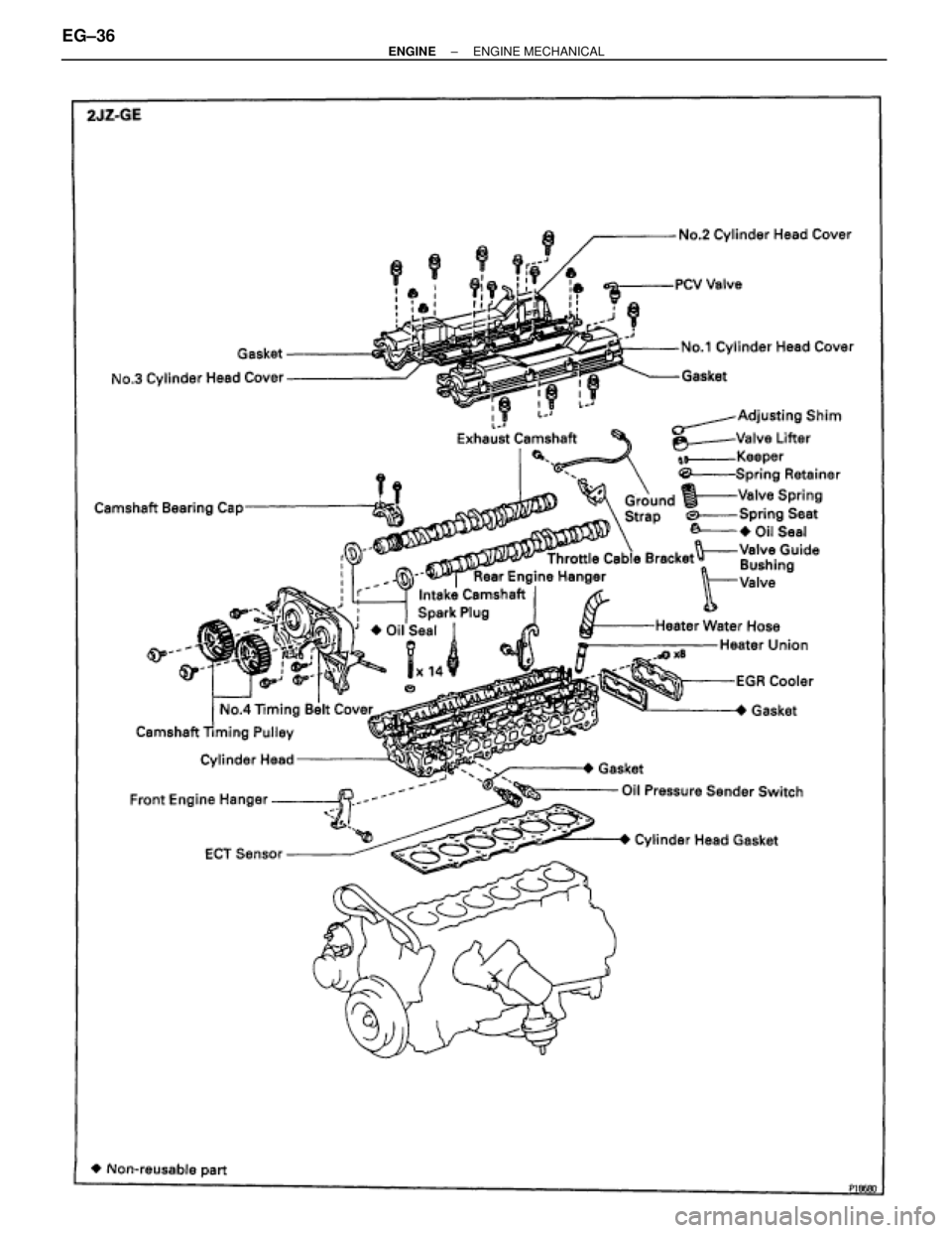 TOYOTA SUPRA 1986  Service Repair Manual EG±36± ENGINEENGINE MECHANICAL 