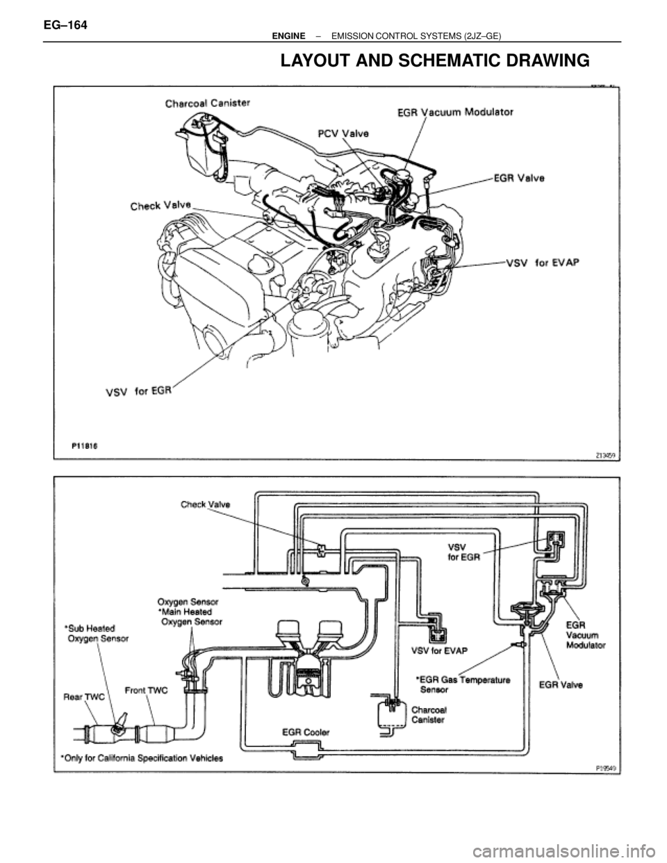 TOYOTA SUPRA 1986  Service Repair Manual LAYOUT AND SCHEMATIC DRAWING
EG±164± ENGINEEMISSION CONTROL SYSTEMS (2JZ±GE) 