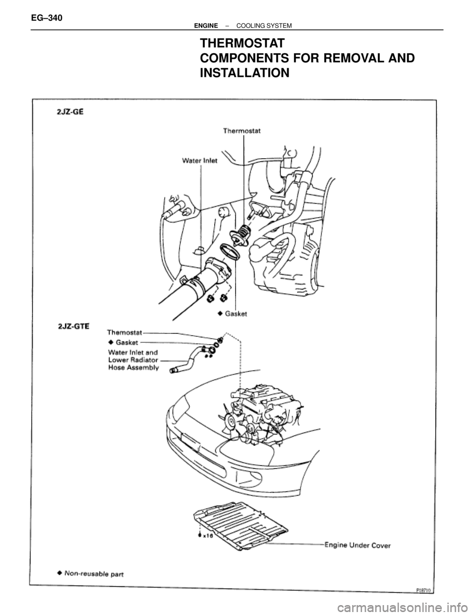TOYOTA SUPRA 1986 Service Repair Manual THERMOSTAT
COMPONENTS FOR REMOVAL AND
INSTALLATION
EG±340± ENGINECOOLING SYSTEM TOYOTA SUPRA 1986 Service Repair Manual THERMOSTAT
COMPONENTS FOR REMOVAL AND
INSTALLATION
EG±340± ENGINECOOLING SYSTEM