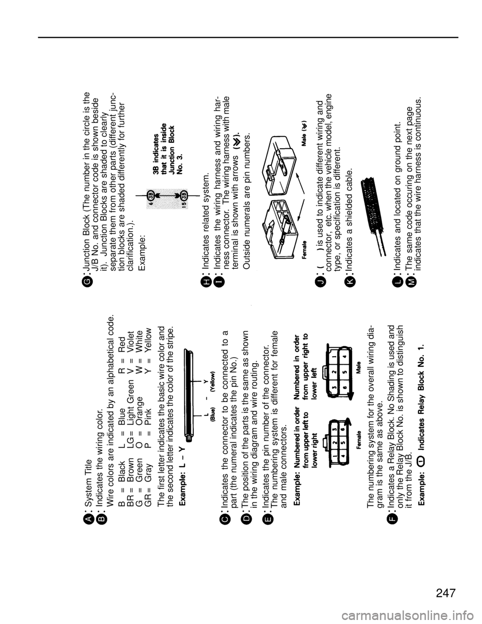 TOYOTA SUPRA 1986 Service Repair Manual Junction Block (The number in the circle is the
J/B No. and connector code is shown beside
it). Junction Blocks are shaded to clearly
separate them from other parts (different junc-
tion blocks are TOYOTA SUPRA 1986 Service Repair Manual Junction Block (The number in the circle is the
J/B No. and connector code is shown beside
it). Junction Blocks are shaded to clearly
separate them from other parts (different junc-
tion blocks are