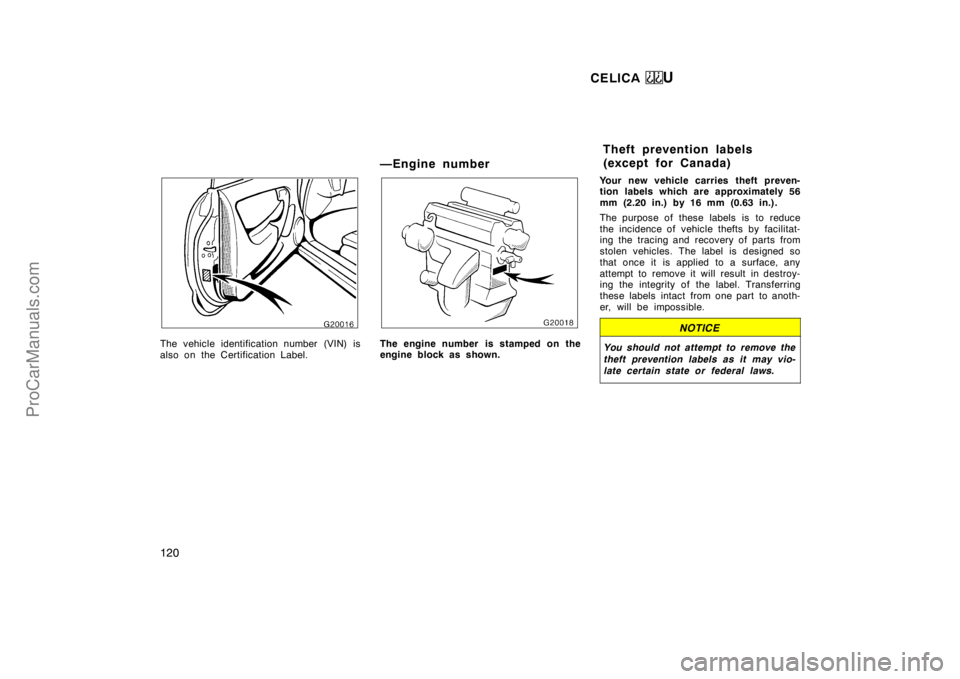 TOYOTA CELICA 1998  Owners Manual CELICA U
120
The vehicle identification number (VIN) is
also on the Certification Label.
—Engine number
The engine number  is stamped on the
engine block as shown.Your new vehicle carries theft prev