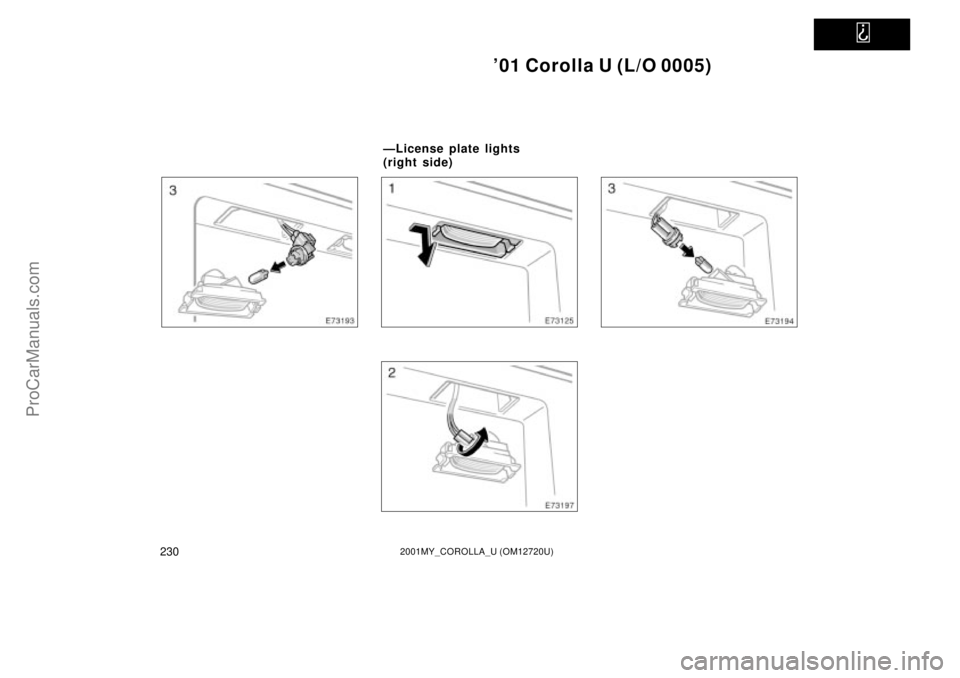 TOYOTA COROLLA 2001 Owners Manual
01 Corolla U (L/O 0005)
2302001MY_COROLLA_U (OM12720U)
ÐLicense plate lights
(right side)
ProCarManuals.com TOYOTA COROLLA 2001 Owners Manual
01 Corolla U (L/O 0005)
2302001MY_COROLLA_U (OM12720U)
ÐLicense plate lights
(right side)
ProCarManuals.com