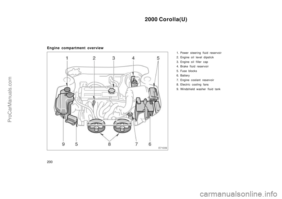 TOYOTA COROLLA 2000  Owners Manual 2000 Corolla(U)
200
Engine compartment overview
1. Power steering fluid reservoir
2. Engine oil level dipstick
3. Engine oil filler  cap
4. Brake fluid reservoir
5. Fuse blocks
6. Battery
7. Engine co