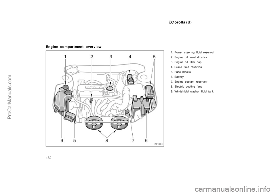 TOYOTA COROLLA 1999  Owners Manual C orolla (U)
182
Engine compartment overview
1. Power steering fluid reservoir
2. Engine oil level dipstick
3. Engine oil filler  cap
4. Brake fluid reservoir
5. Fuse blocks
6. Battery
7. Engine coola