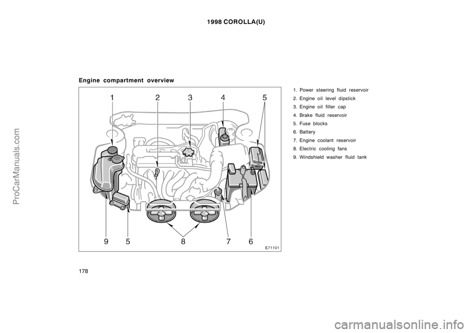 TOYOTA COROLLA 1998  Owners Manual 1998 COROLLA(U)
178
Engine compartment overview
1. Power steering fluid reservoir
2. Engine oil level dipstick
3. Engine oil filler  cap
4. Brake fluid reservoir
5. Fuse blocks
6. Battery
7. Engine co