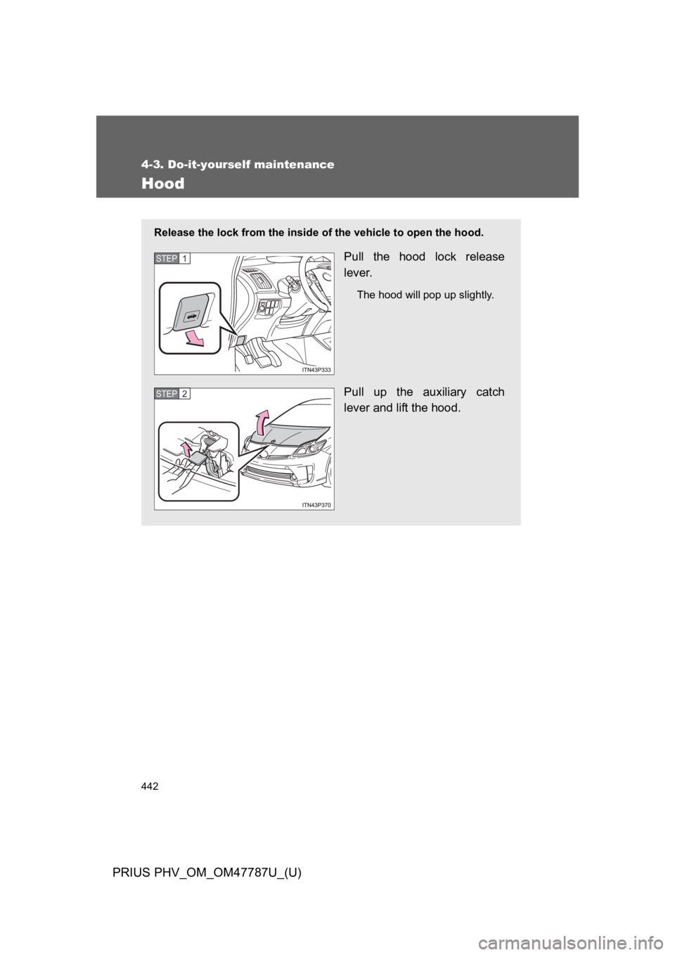 TOYOTA PRIUS PLUG-IN 2013 Owners Manual 442
4-3. Do-it-yourself maintenance
PRIUS PHV_OM_OM47787U_(U)
Hood
Release the lock from the inside of the vehicle to open the hood.
Pull the hood lock release
lever.
The hood will pop up slightly TOYOTA PRIUS PLUG-IN 2013 Owners Manual 442
4-3. Do-it-yourself maintenance
PRIUS PHV_OM_OM47787U_(U)
Hood
Release the lock from the inside of the vehicle to open the hood.
Pull the hood lock release
lever.
The hood will pop up slightly