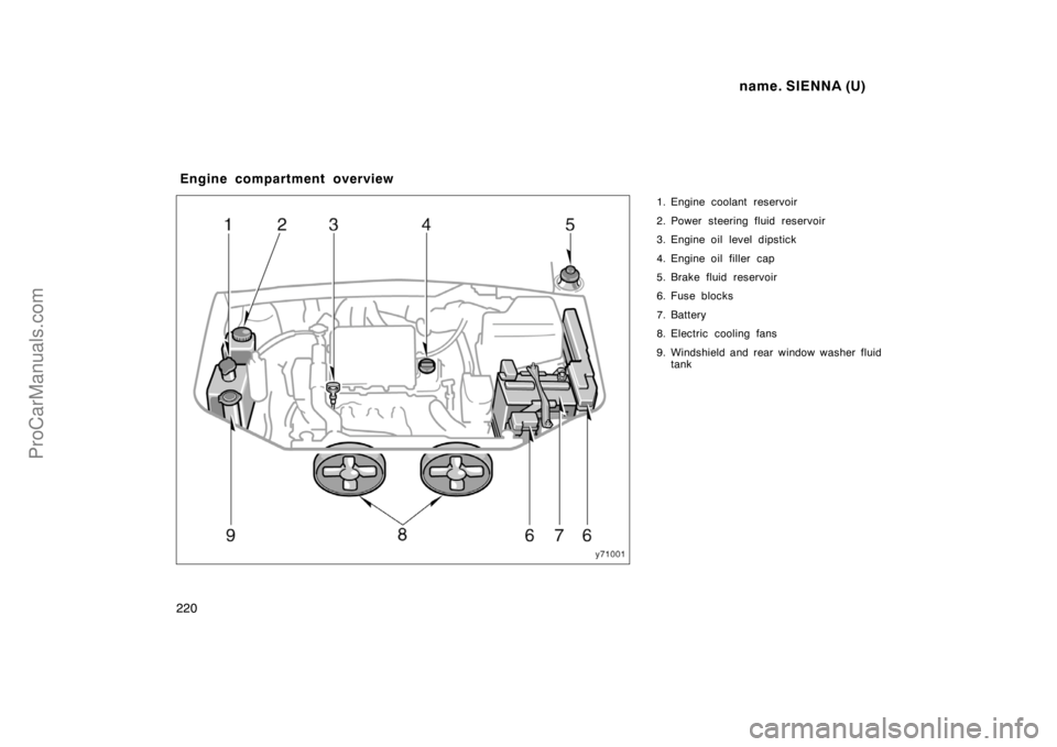 TOYOTA SIENNA 1998  Owners Manual name. SIENNA (U)
220
1. Engine coolant reservoir
2. Power steering fluid reservoir
3. Engine oil level dipstick
4. Engine oil filler  cap
5. Brake fluid reservoir
6. Fuse blocks
7. Battery
8. Electric