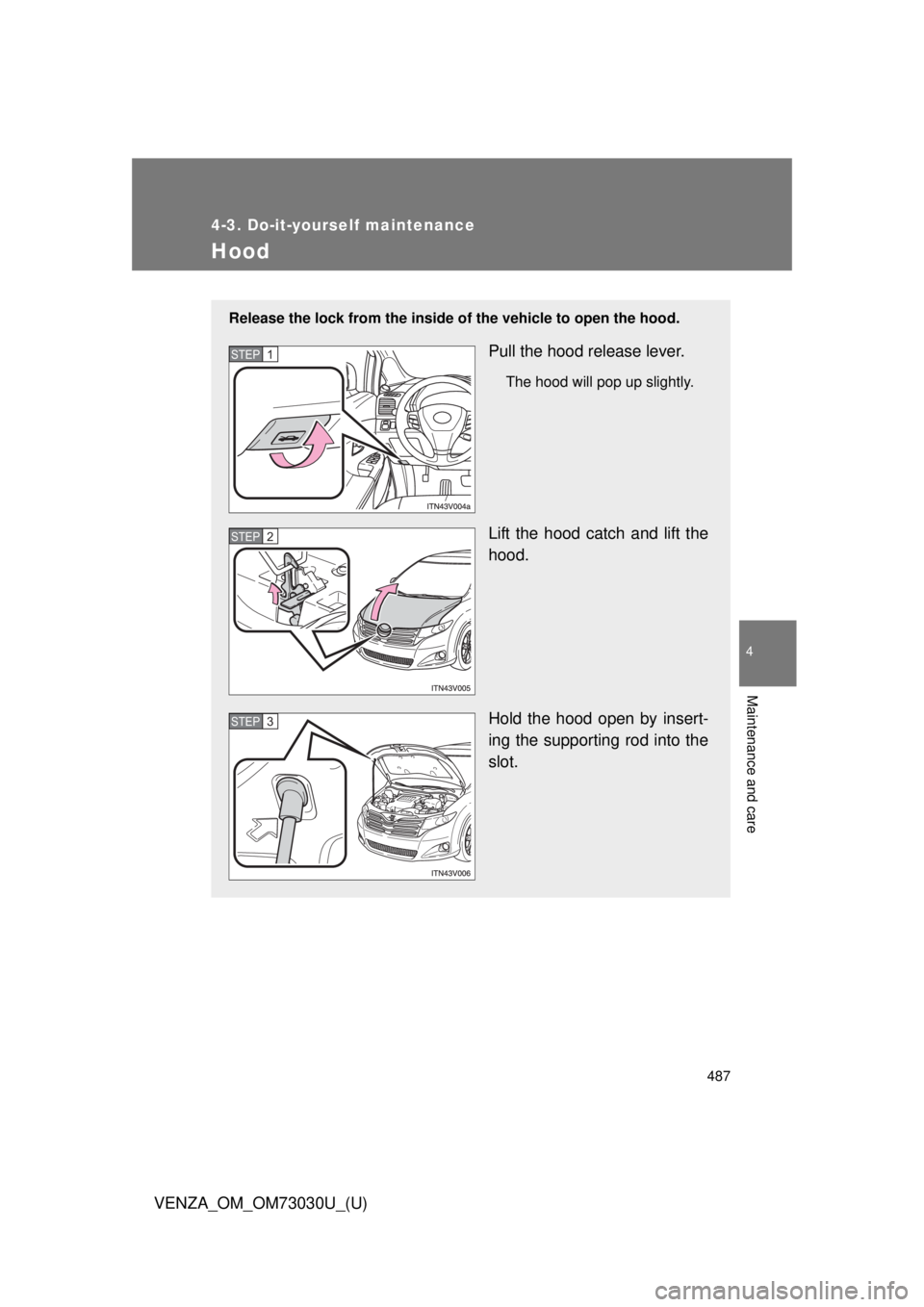 TOYOTA VENZA 2016 Owners Manual 4874-3. Do-it-yourself maintenance
4
Maintenance and care
VENZA_OM_OM73030U_(U) Hood Release the lock from the inside of the vehicle to open the hood.
Pull the hood release lever. The hood will pop u TOYOTA VENZA 2016 Owners Manual 4874-3. Do-it-yourself maintenance
4
Maintenance and care
VENZA_OM_OM73030U_(U) Hood Release the lock from the inside of the vehicle to open the hood.
Pull the hood release lever. The hood will pop u