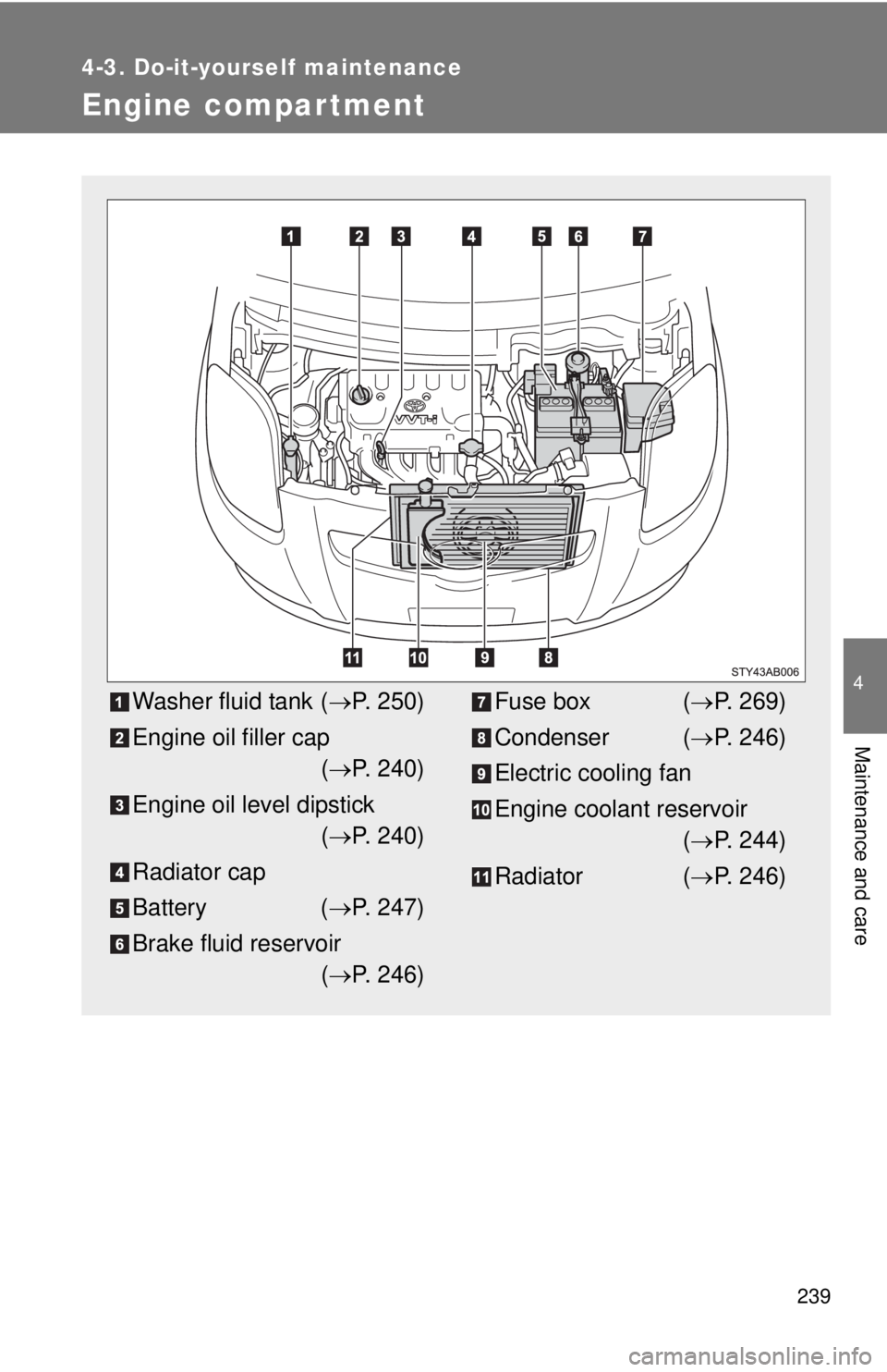 TOYOTA YARIS HATCHBACK 2008  Owners Manual 239
4-3. Do-it-yourself maintenance
4
Maintenance and care
Engine compar tment
Washer fluid tank (→P. 250)
Engine oil filler cap (→ P. 240)
Engine oil level dipstick (→ P. 240)
Radiator cap
Batt