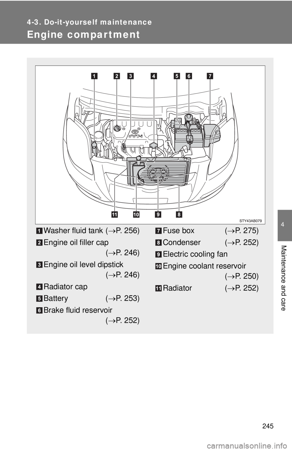 TOYOTA YARIS HATCHBACK 2009  Owners Manual 245
4-3. Do-it-yourself maintenance
4
Maintenance and care
Engine compar tment
Washer fluid tank (→P. 256)
Engine oil filler cap  
( → P. 246)
Engine oil level dipstick  
( → P. 246)
Radiator ca
