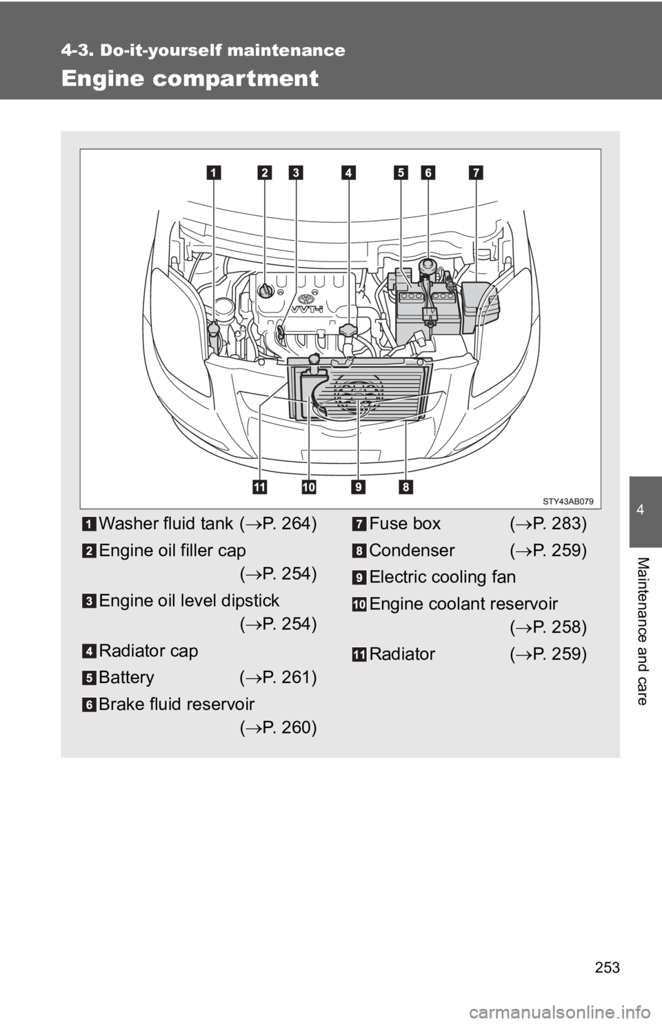 TOYOTA YARIS HATCHBACK 2010  Owners Manual 253
4-3. Do-it-yourself maintenance
4
Maintenance and care
Engine compar tment
Washer fluid tank (→P. 264)
Engine oil filler cap (→ P. 254)
Engine oil level dipstick (→ P. 254)
Radiator cap
Batt