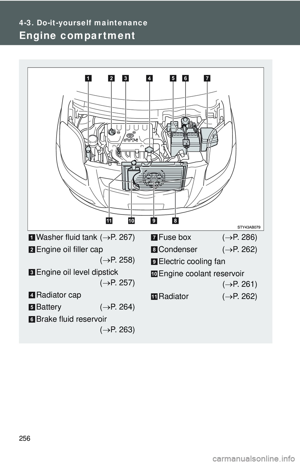 TOYOTA YARIS HATCHBACK 2011 Owners Manual 256
4-3. Do-it-yourself maintenance
Engine compar tment
Washer fluid tank (→P. 267)
Engine oil filler cap (→ P. 258)
Engine oil level dipstick (→ P. 257)
Radiator cap
Battery ( →P. 264)
Brake TOYOTA YARIS HATCHBACK 2011 Owners Manual 256
4-3. Do-it-yourself maintenance
Engine compar tment
Washer fluid tank (→P. 267)
Engine oil filler cap (→ P. 258)
Engine oil level dipstick (→ P. 257)
Radiator cap
Battery ( →P. 264)
Brake