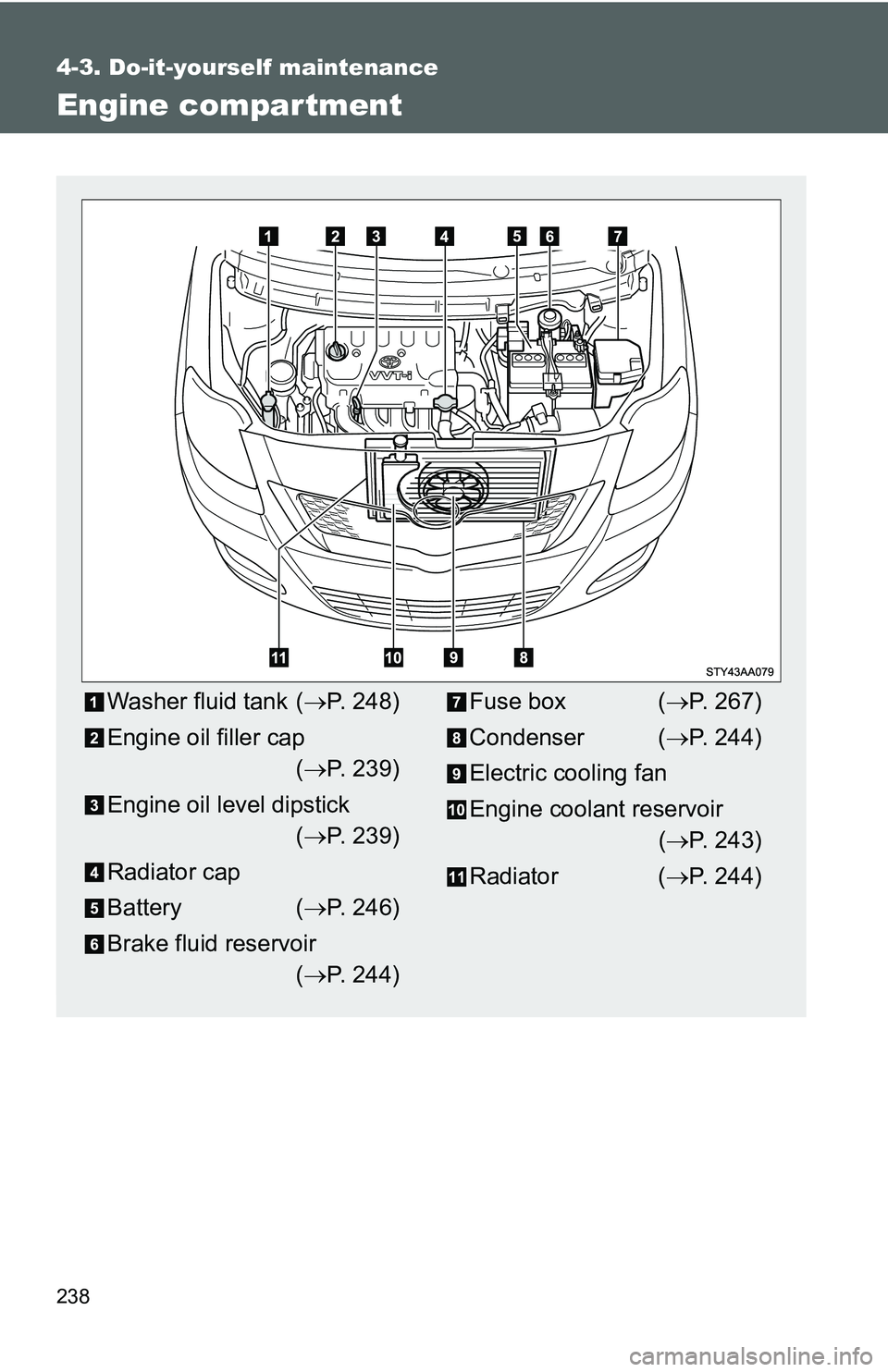 TOYOTA YARIS SEDAN 2011 Owners Manual 238
4-3. Do-it-yourself maintenance
Engine compar tment
Washer fluid tank (→P. 248)
Engine oil filler cap (→ P. 239)
Engine oil level dipstick (→ P. 239)
Radiator cap
Battery ( →P. 246)
Brake TOYOTA YARIS SEDAN 2011 Owners Manual 238
4-3. Do-it-yourself maintenance
Engine compar tment
Washer fluid tank (→P. 248)
Engine oil filler cap (→ P. 239)
Engine oil level dipstick (→ P. 239)
Radiator cap
Battery ( →P. 246)
Brake