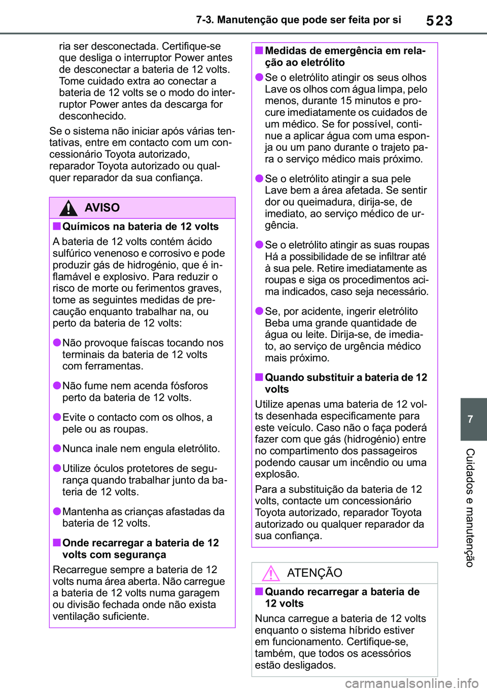 TOYOTA COROLLA HATCHBACK 2021  Manual de utilização (in Portuguese) 523
� ������0�D�Q�X�W�H�Q�o�m�R��T�X�H��S�R�G�H��V�H�U��I�H�L�W�D��S�R�U��V�L
�&�X�L�G�D�G�R�V��H��P�D�Q�X�W�H�Q�o�m�R
�U�L�D��V�H�U��G�H�V�F�R�Q�H�F�W�D�G�D���&�H�U�W�L�I�L�T�X�H��