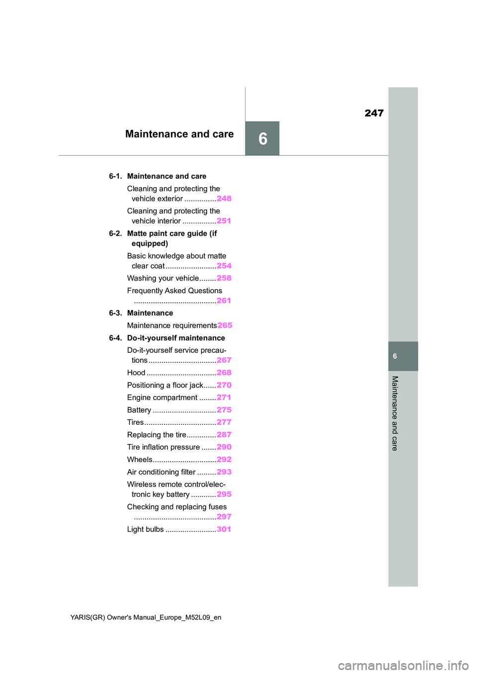 TOYOTA GR YARIS 2021  Owners Manual 6
247
YARIS(GR) Owners Manual_Europe_M52L09_en
6
Maintenance and care
Maintenance and care
6-1. Maintenance and care 
Cleaning and protecting the  
vehicle exterior ............... 248 
Cleaning and 