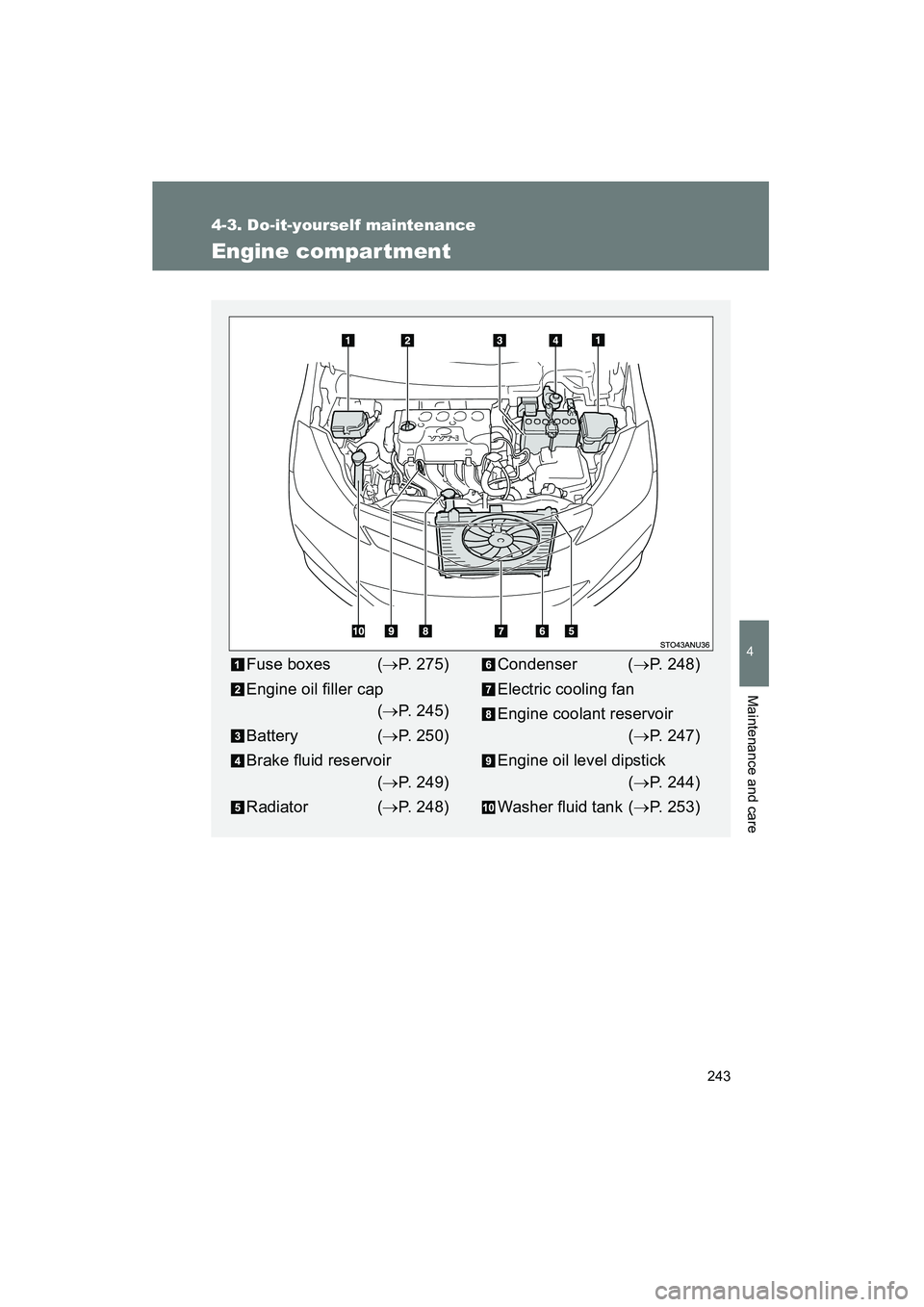 TOYOTA YARIS HATCHBACK 2013  Owners Manual 243
4-3. Do-it-yourself maintenance
4
Maintenance and care
YARIS_HB_U_52D44U
Engine compar tment
Fuse boxes (→P. 275)
Engine oil filler cap (→P. 245)
Battery ( →P. 250)
Brake fluid reservoir (�