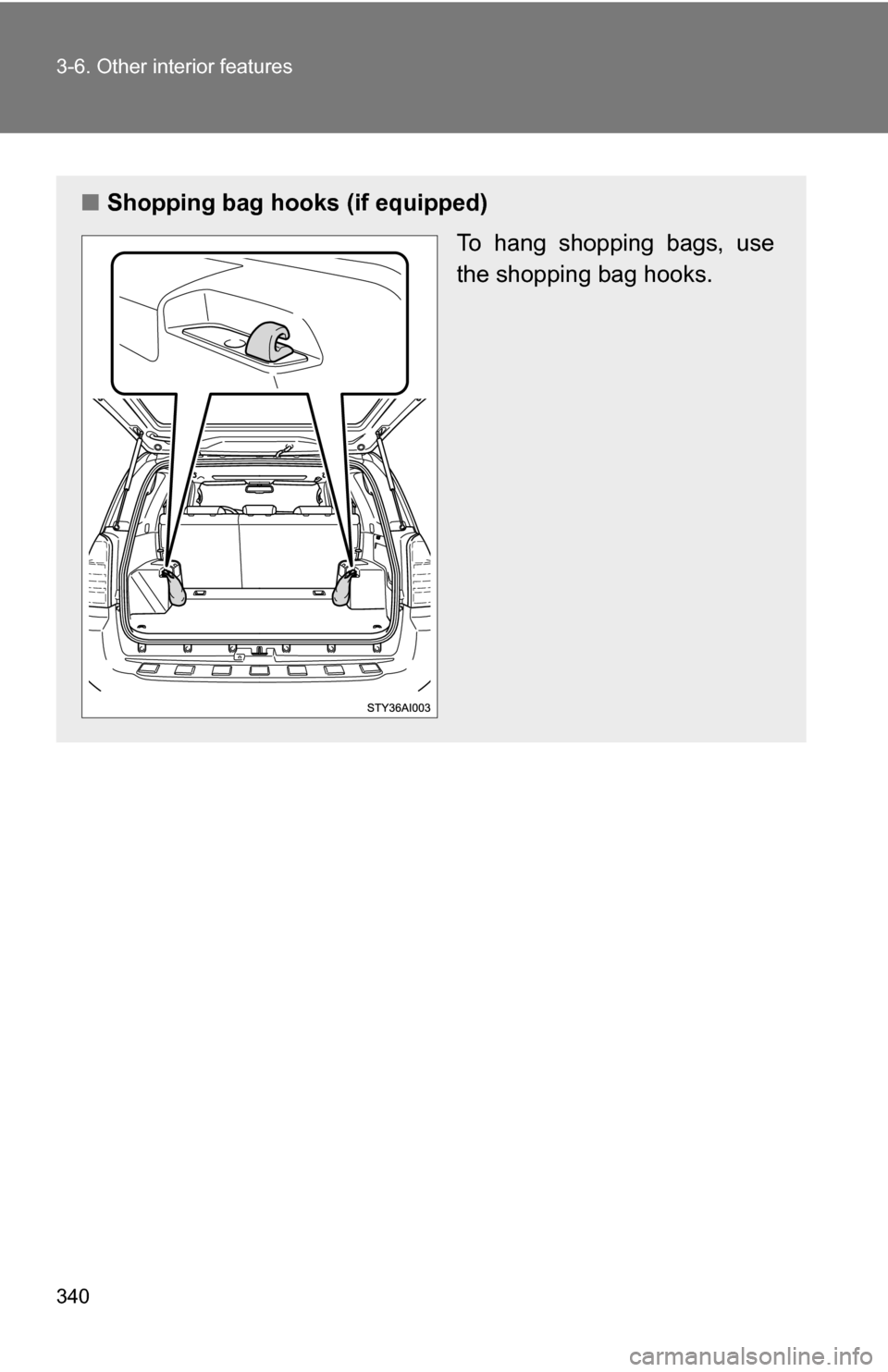 TOYOTA 4RUNNER 2009 N280 / 5.G Owners Manual 340 3-6. Other interior features
■Shopping bag hooks (if equipped)
To hang shopping bags, use
the shopping bag hooks. 