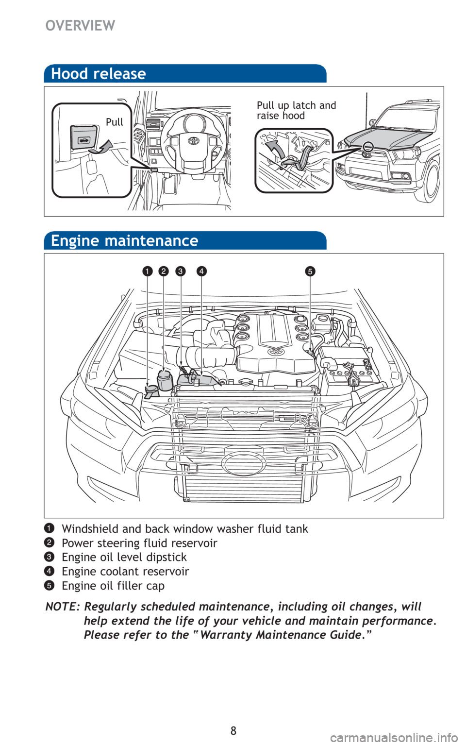 TOYOTA 4RUNNER 2010 N280 / 5.G Quick Reference Guide 8 Windshield and back window washer fluid tank
Power steering fluid reservoir
Engine oil level dipstick
Engine coolant reservoir
Engine oil filler cap
NOTE: Regularly scheduled maintenance, including TOYOTA 4RUNNER 2010 N280 / 5.G Quick Reference Guide 8 Windshield and back window washer fluid tank
Power steering fluid reservoir
Engine oil level dipstick
Engine coolant reservoir
Engine oil filler cap
NOTE: Regularly scheduled maintenance, including