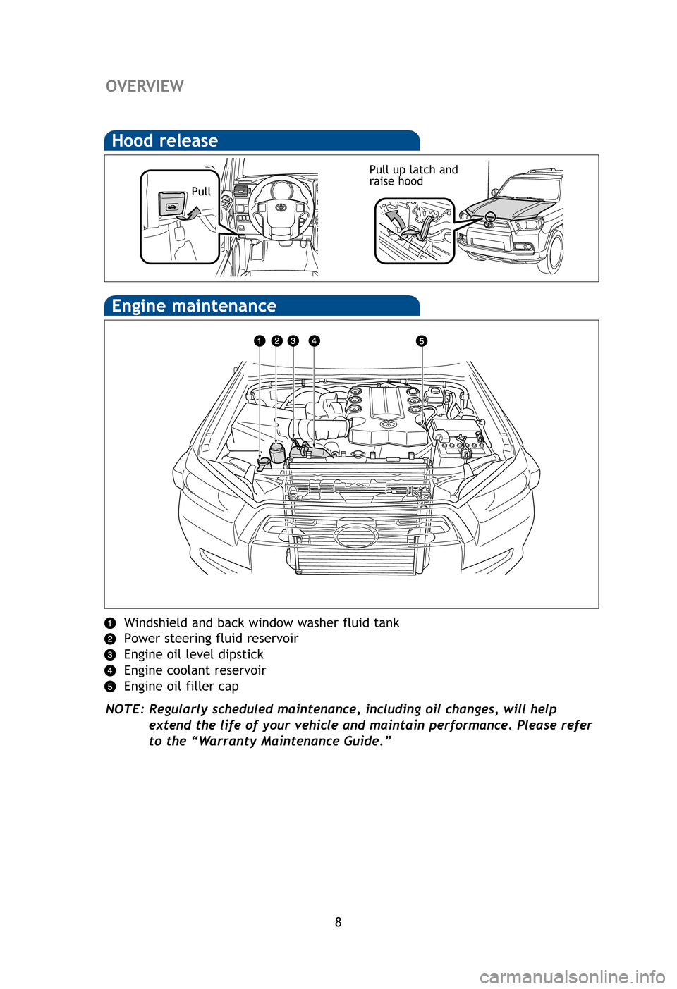 TOYOTA 4RUNNER 2012 N280 / 5.G Quick Reference Guide 8
Windshield and back window washer fluid tank
Power steering fluid reservoir
Engine oil level dipstick
Engine coolant reservoir
Engine oil filler cap
NOTE: Regularly scheduled maintenance, including TOYOTA 4RUNNER 2012 N280 / 5.G Quick Reference Guide 8
Windshield and back window washer fluid tank
Power steering fluid reservoir
Engine oil level dipstick
Engine coolant reservoir
Engine oil filler cap
NOTE: Regularly scheduled maintenance, including