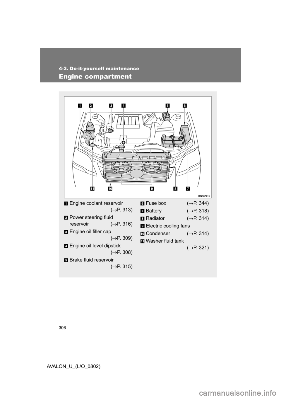 TOYOTA AVALON 2008 XX30 / 3.G Owners Manual 306
4-3. Do-it-yourself maintenance
AVALON_U_(L/O_0802)
Engine compar tment
Engine coolant reservoir
(  P. 313)
Power steering fluid  
reservoir ( P. 316)
Engine oil filler cap 
(  P