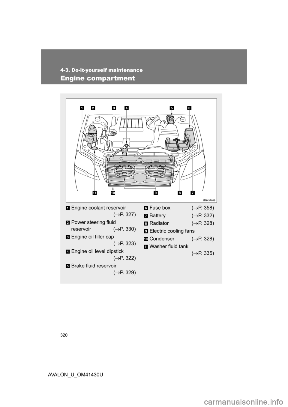TOYOTA AVALON 2009 XX30 / 3.G Owners Manual 320
4-3. Do-it-yourself maintenance
AVALON_U_OM41430U
Engine compar tment
Engine coolant reservoir( P. 327)
Power steering fluid
reservoir ( P. 330)
Engine oil filler cap ( P. 323)
Engine oi TOYOTA AVALON 2009 XX30 / 3.G Owners Manual 320
4-3. Do-it-yourself maintenance
AVALON_U_OM41430U
Engine compar tment
Engine coolant reservoir( P. 327)
Power steering fluid
reservoir ( P. 330)
Engine oil filler cap ( P. 323)
Engine oi