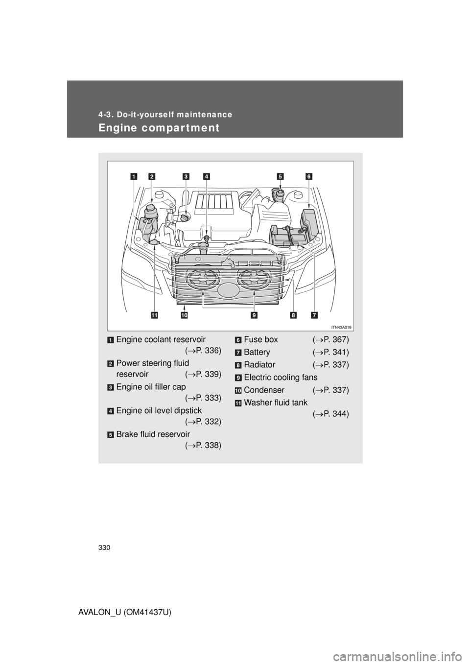 TOYOTA AVALON 2010 XX30 / 3.G Owners Manual 330
4-3. Do-it-yourself maintenance
AVALON_U (OM41437U)
Engine compar tment
Engine coolant reservoir( P. 336)
Power steering fluid
reservoir ( P. 339)
Engine oil filler cap ( P. 333)
Engine TOYOTA AVALON 2010 XX30 / 3.G Owners Manual 330
4-3. Do-it-yourself maintenance
AVALON_U (OM41437U)
Engine compar tment
Engine coolant reservoir( P. 336)
Power steering fluid
reservoir ( P. 339)
Engine oil filler cap ( P. 333)
Engine