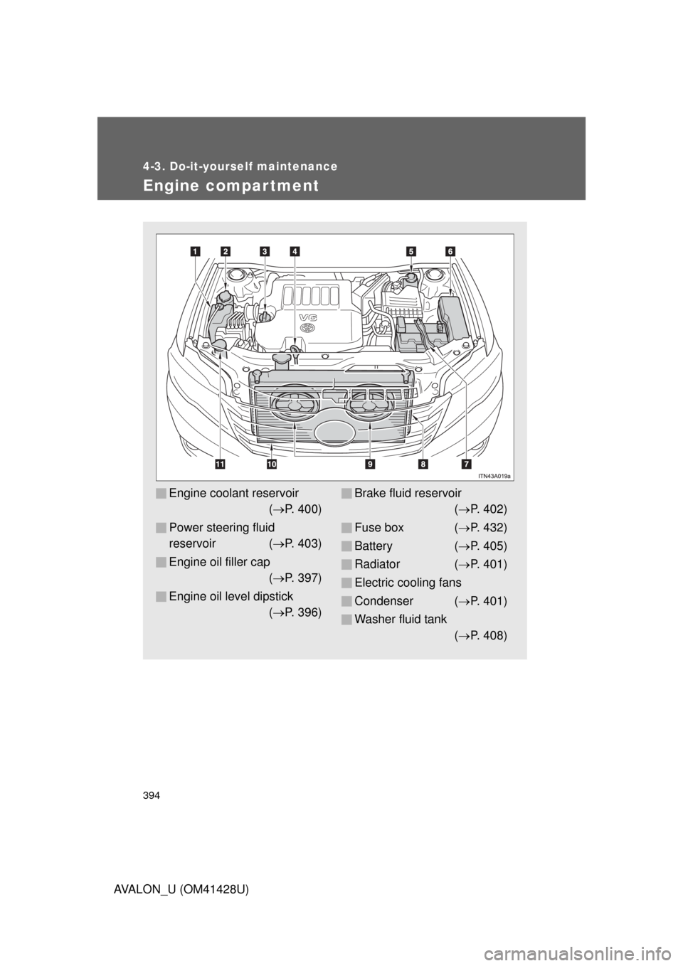 TOYOTA AVALON 2011 XX30 / 3.G Owners Manual 394
4-3. Do-it-yourself maintenance
AVALON_U (OM41428U)
Engine compar tment
Engine coolant reservoir
(P. 400)
Power steering fluid 
reservoir (P. 403)
Engine oil filler cap
(P. 397)
Engine oi