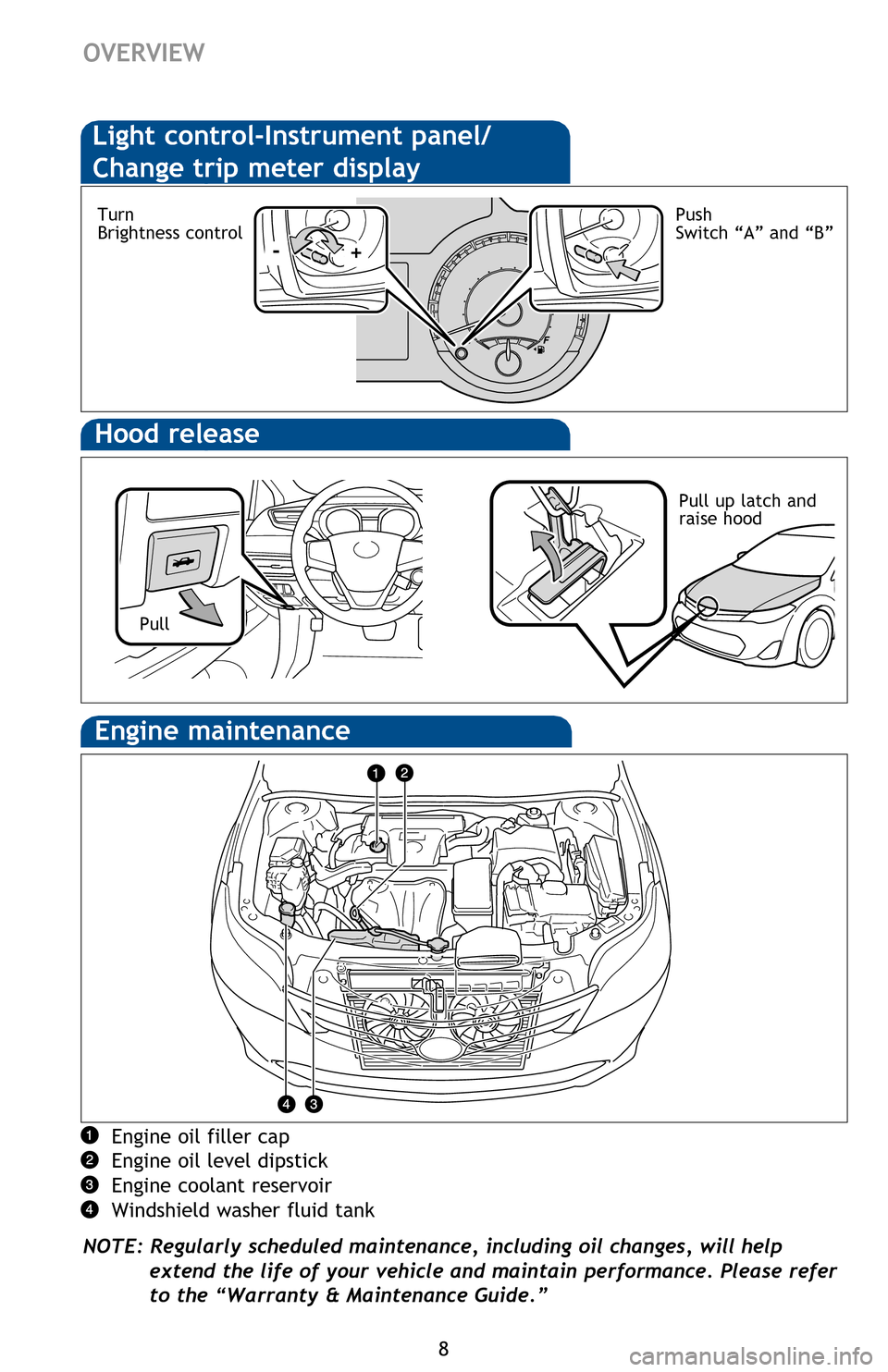 TOYOTA AVALON HYBRID 2016 XX40 / 4.G Quick Reference Guide 8
Hood release
Engine oil filler cap
Engine oil level dipstick
Engine coolant reservoir
Windshield washer fluid tank
NOTE: Regularly scheduled maintenance, including oil changes, will help
extend the TOYOTA AVALON HYBRID 2016 XX40 / 4.G Quick Reference Guide 8
Hood release
Engine oil filler cap
Engine oil level dipstick
Engine coolant reservoir
Windshield washer fluid tank
NOTE: Regularly scheduled maintenance, including oil changes, will help
extend the